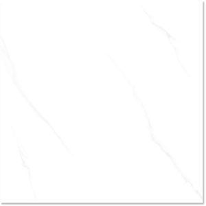 gach-lat-nen-cmc-60x60-cpg66021s5