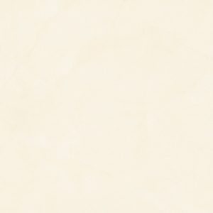 gach-lat-nen-cmc-60x60-cpg66022s5