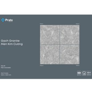 gach-lat-nen-prato-100x100-pgd1010008s3-2