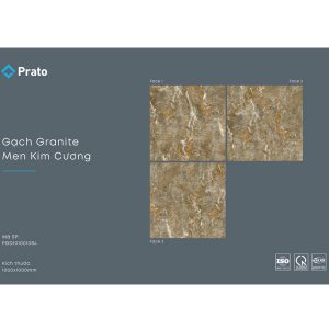 gach-lat-nen-prato-100x100-pgd1010010s4-2