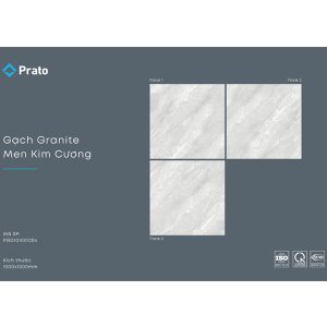 gach-lat-nen-prato-100x100-pgg1010012s4-2