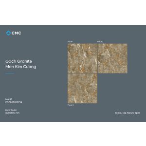 gach-lat-nen-prato-80x80-pgd8080207s4-2