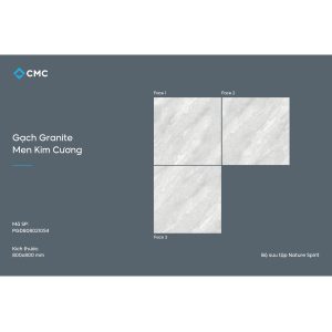 gach-lat-nen-prato-80x80-pgd8080210s4-2