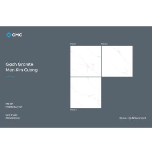 gach-lat-nen-refina-80x80-rgd8080214s4-2