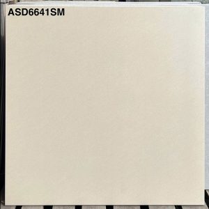 gach-lat-nen-viglacera-asd6641sm-60x60-1