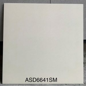 gach-lat-nen-viglacera-asd6641sm-60x60