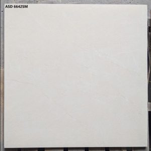 gach-lat-nen-viglacera-asd6642sm-60x60-1