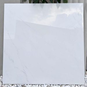 gach-lat-nen-viglacera-sh-gp606-60x60-2