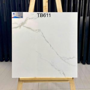 gach-lat-nen-viglacera-sh-tb611-60x60