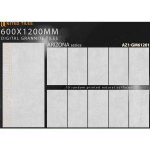 gach-men-matt-arizona-viglacera-60x120-az1-gm61201-1