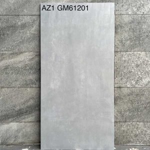gach-men-matt-arizona-viglacera-60x120-az1-gm61201
