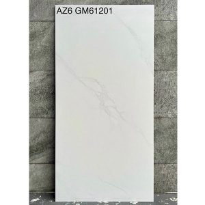 gach-men-matt-arizona-viglacera-60x120-az6-gm61201-1