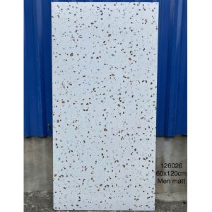 gach-terrazzo-tq-60x120-126026ds