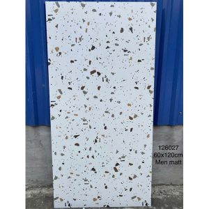 gach-terrazzo-tq-60x120-126027ds