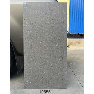 gach-terrazzo-tq-60x120-12655ds