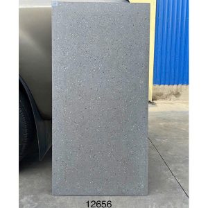 gach-terrazzo-tq-60x120-12656ds