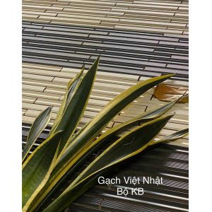 gach-viet-nhat-24-5x32-5-kb