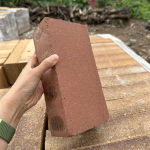 gach-chiu-lua-samot-ab-2