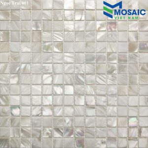 gach-mosaic-ngoc-trai-nt-001