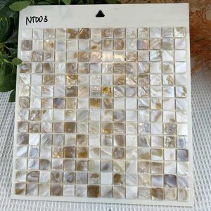 gach-mosaic-ngoc-trai-nt-003