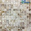 gach-mosaic-ngoc-trai-nt-003