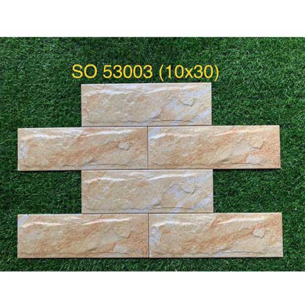 gach-the-gia-da-trung-quoc-10x30-so-53003