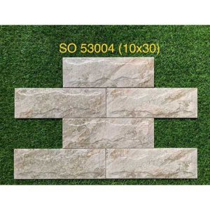 gach-the-gia-da-trung-quoc-10x30-so-53004