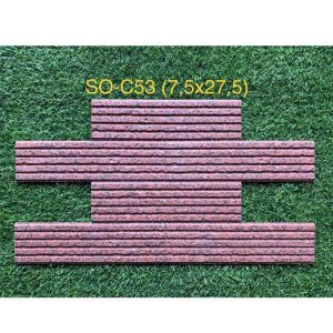 gach-the-trung-quoc-so-c53-7-5x27-5cm