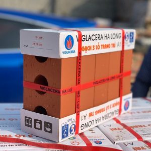 gach-viglacera-ha-long-khong-trat-3-lo-22x10-5x6-cm-2