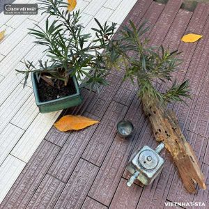 gach-op-viet-nhat-sta-4