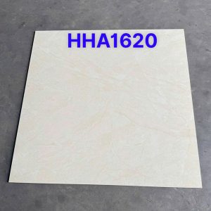 gach-van-da-trung-quoc-100x100cm-hha1620