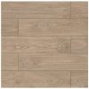 gach-gia-go-dong-tam-20x80-2080banyan003-h