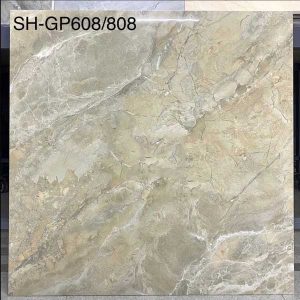 gach-lat-nen-viglacera-sh-gp608-60x60-5