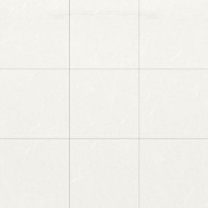 gach-op-lat-dong-tam-100x100-100dongvan003-fp-h-2