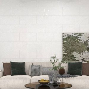 gach-op-lat-dong-tam-30x60-3060cloud001-2