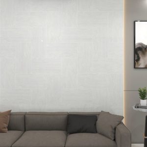 gach-op-lat-dong-tam-30x60-3060cloud002-2