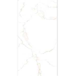 gach-op-lat-dong-tam-40x80-4080cararas005-h-2