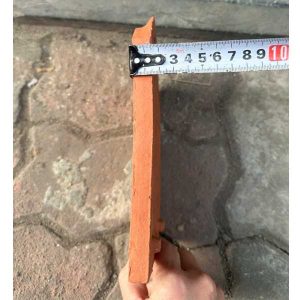 ngoi-so-co-viglacera-ha-long-dong-trieu-co-chan-2