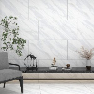 gach-op-lat-dong-tam-60x120-60120nile002-h-1