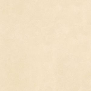 gach-lat-nen-prime-100x100-21312