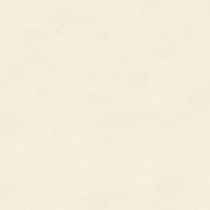 gach-lat-nen-prime-80x80-35006-men-matt