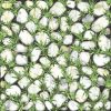 gach-lat-san-vuon-dong-tam-40x40-4040clg003-1