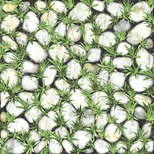 gach-lat-san-vuon-dong-tam-40x40-4040clg003-1