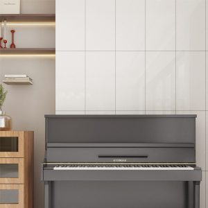 gach-op-lat-dong-tam-30x60-3060cloud011-1