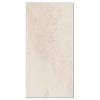 gach-op-lat-taicera-60x120-g12823j