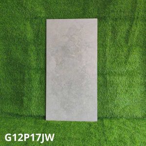 gach-op-lat-taicera-60x120-g12p17jw