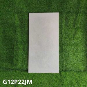 gach-op-lat-taicera-60x120-g12p22jm