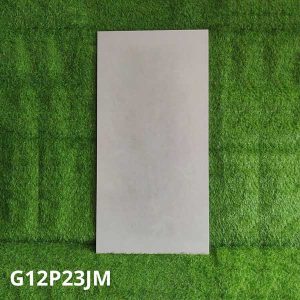 gach-op-lat-taicera-60x120-g12p23jm