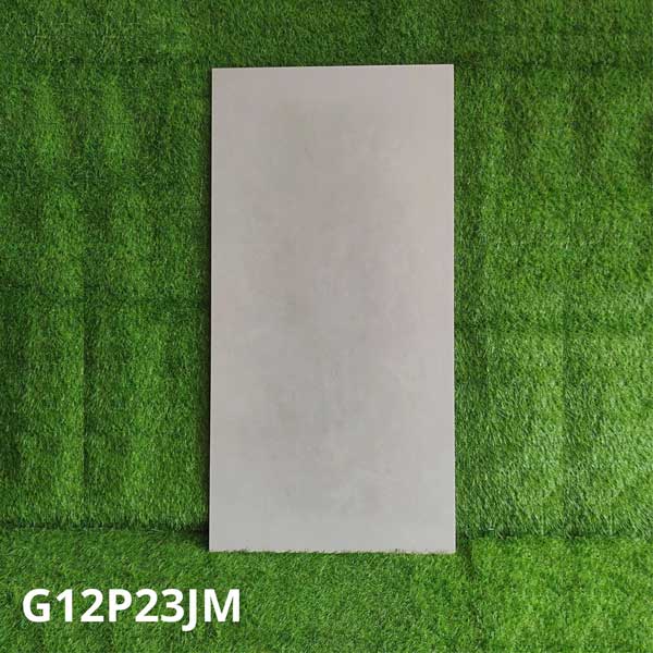 gach-op-lat-taicera-60x120-g12p23jm gach-op-lat-taicera-60x120-g12p23jm
