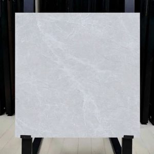 gach-lat-nen-viglacera-ny4gm6601-60x60-2